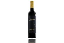 Čapka Martin Cabernet Sauvignon Terroir Nechory 2021 výběr z hroznů 0,75L