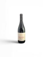 Oulehla Pinot noir pozdní sběr 2021  0,75l